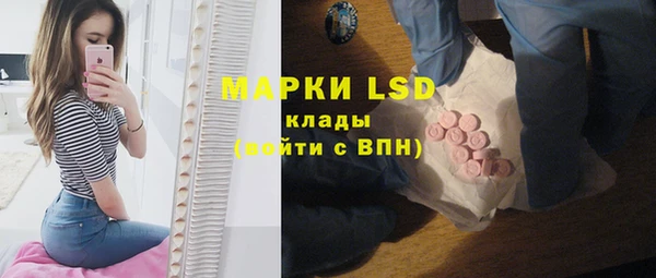 трава Белокуриха