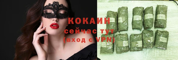трава Белокуриха