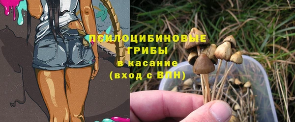 дмт Беломорск