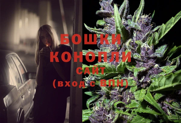 трава Белокуриха