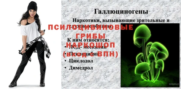 трава Белокуриха
