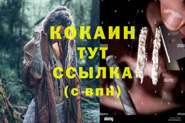 трава Белокуриха