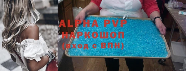 индика Белоозёрский