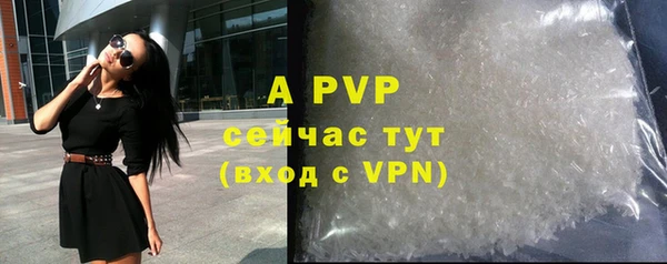 индика Белоозёрский